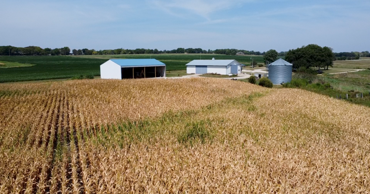 Badger Farm Quality Structures